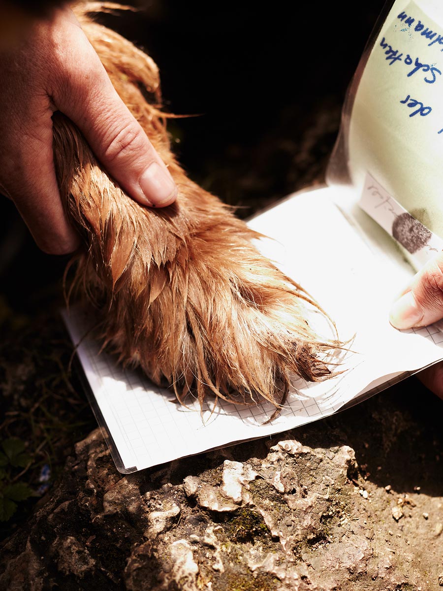 SABRINA ROTHE photography