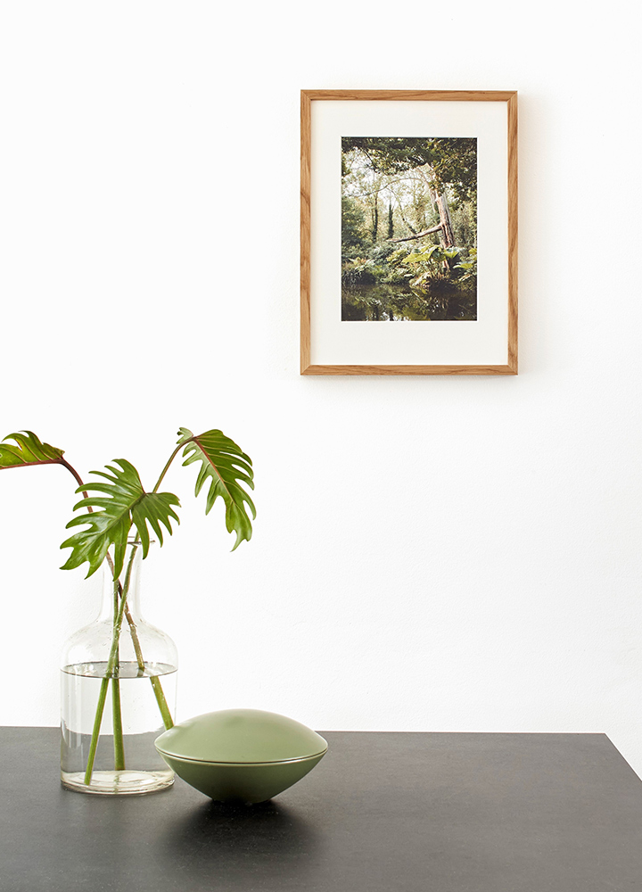 SABRINA ROTHE photography