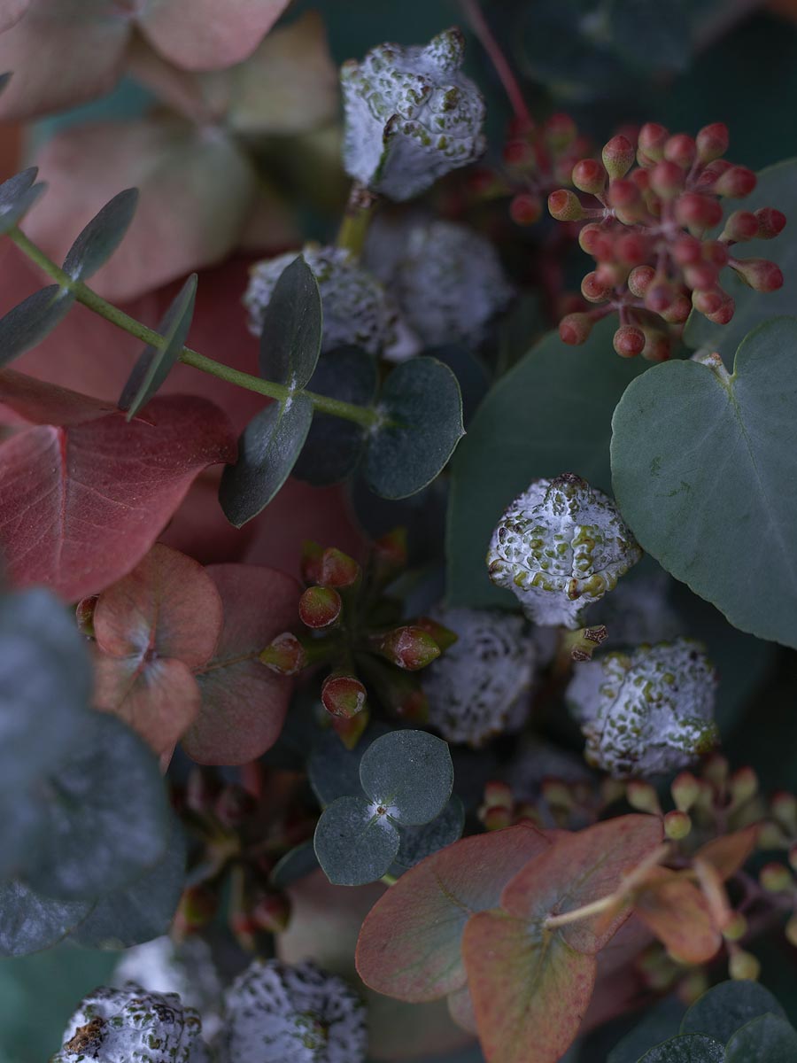 SABRINA ROTHE photography